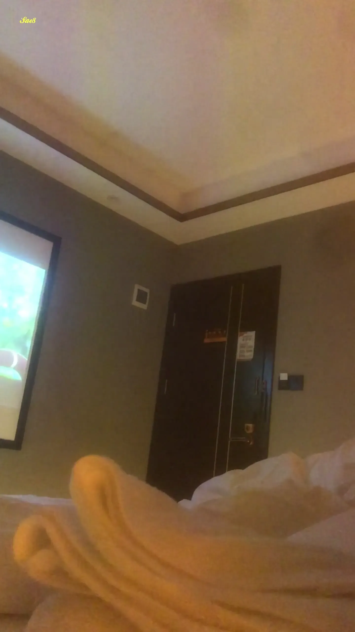 【高级会员专享】王胖子全集大奶环保姐